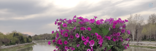 ‌شیخ محسن صالحی‌'s header picture