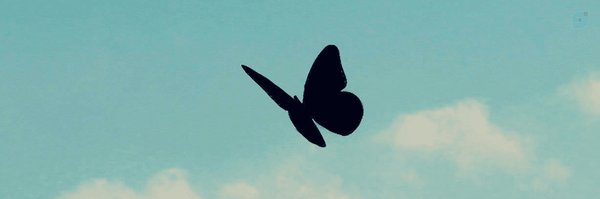 ‌fatemeh‌'s header picture