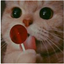 Profile picture of ‌roya‌