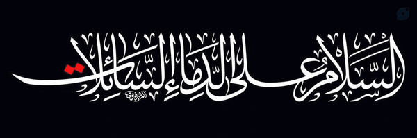 ‌کیارش صادق نژاد‌'s header picture