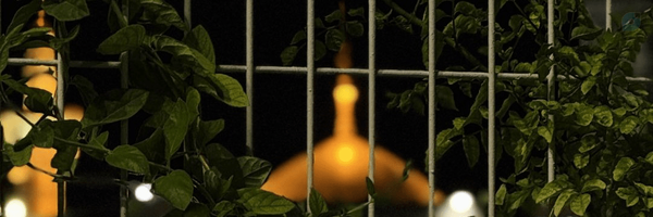 ‌«نـوران»‌'s header picture