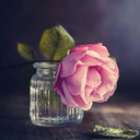 Profile picture of ‌مرد ایرانی‌