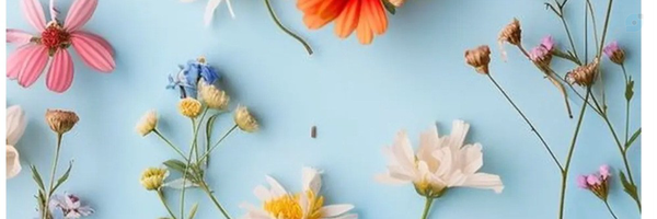 ‌اسما محمدنیا‌'s header picture