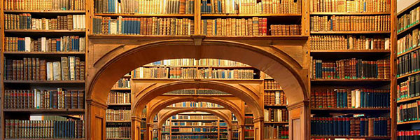 ‌سیدامیر سخاوتیان‌'s header picture
