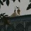 Profile picture of ‌نازی🌸‌