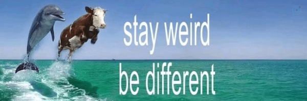 ‌Lunatic‌'s header picture