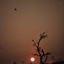Profile picture of ‌رضا‌