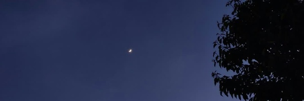 ‌مَبھ‌ۅٺ؛‌'s header picture