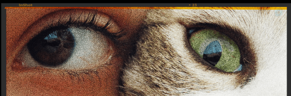 ‌Boshra‌'s header picture