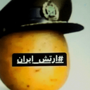 Profile picture of ‌نادرتال میمون‌