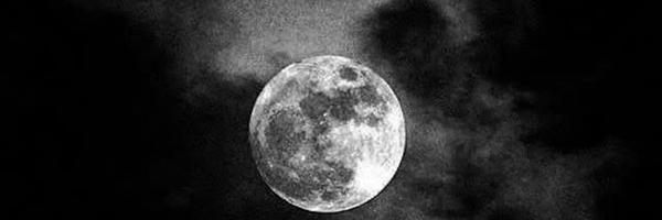 ‌ｍｏ ｈｏｓｅｉｎ‌'s header picture
