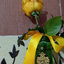 Profile picture of ‌•|منتصر|•‌