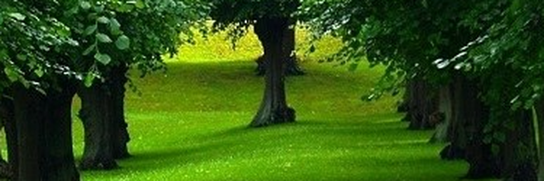 ‌تنها‌'s header picture