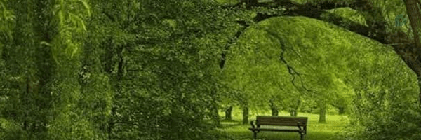 ‌فکرت‌'s header picture