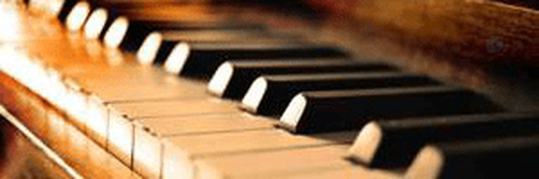 ‌Meysam Music‌'s header picture