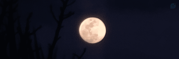 ‌𝐁𝐚𝐧𝐢𝐧‌'s header picture