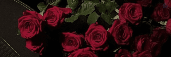 ‌پونه🎒‌'s header picture