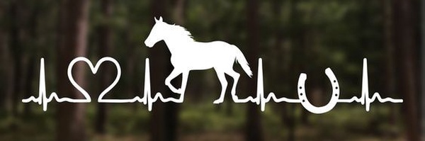 ‌بِیطار Vet‌'s header picture