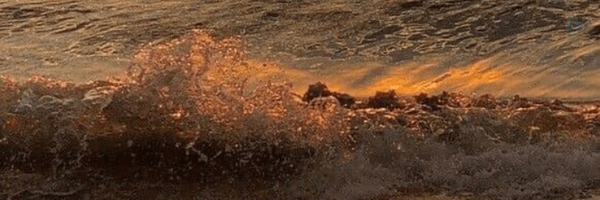 ‌Captain Jack Sparrow‌'s header picture