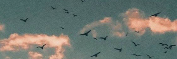 ‌مِـ‌ن‌ْـھـٰاج‌'s header picture