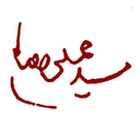 Profile picture of ‌Mohammad Ghaffari‌
