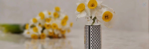 ‌زینب شفیع نادری‌'s header picture