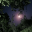 Profile picture of ‌𝐸𝓁𝒾𝓎𝒶𝓈‌
