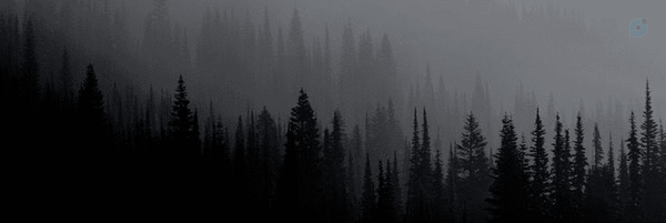‌Amir‌'s header picture