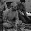 Profile picture of ‌ابوالفضل ناصری‌