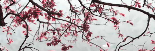 ‌روح اله غیاثی‌'s header picture