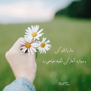 Profile picture of ‌صبور‌