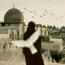 Profile picture of ‌رئوفـه☫‌