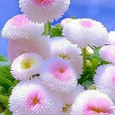 Profile picture of ‌مهدی‌
