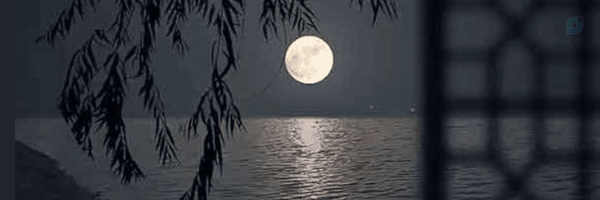 ‌ماه‌ِعلقمه‌'s header picture