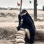 Profile picture of ‌_𝒈𝒐𝒎𝒏𝒂𝒎_‌