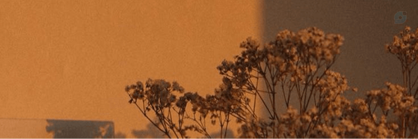 ‌ᶠ.ᵐᵒʰᵃᵐᵐᵃᵈᶻᵃᵈᵉʰ‌'s header picture