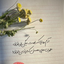 Profile picture of ‌mo dehghan‌