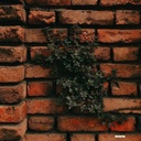 Profile picture of ‌خـادِم المهدے³¹³‌