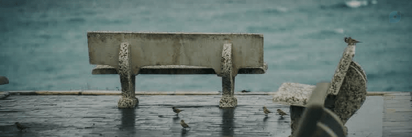‌Rogayeh Jahani‌'s header picture