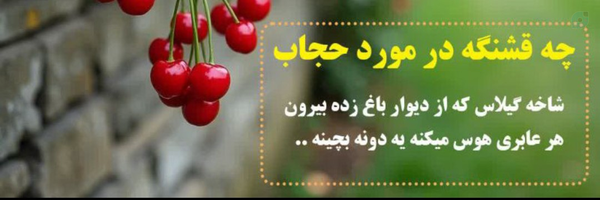 ‌زینب‌'s header picture