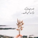 Profile picture of ‌صغری زارع‌
