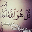 Profile picture of ‌امیر قربانی‌