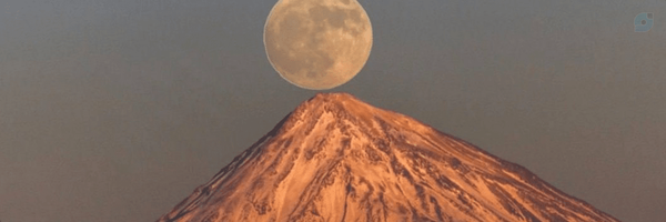 ‌سید علی هدایت‌'s header picture
