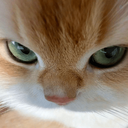 Profile picture of ‌اینترنت میخوامیو⁹‌