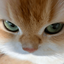 Profile picture of ‌اینترنت میخوامیو⁹‌