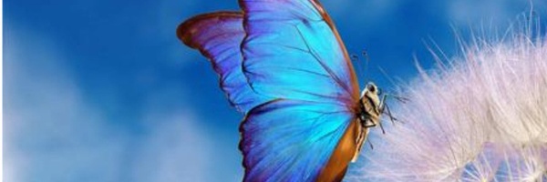 ‌نازنین‌'s header picture