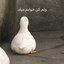 Profile picture of ‌☫ریـــحام‌