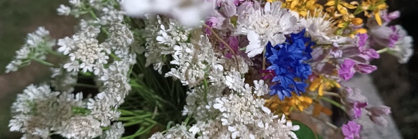 ‌رونیا‌'s header picture