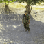 Profile picture of ‌عبد الزهرا‌