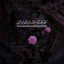 Profile picture of ‌𝐇𝐀|سـیدهـ‌ بانـو🌱✨‌